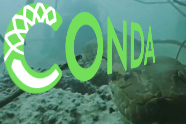 Anaconda Python download